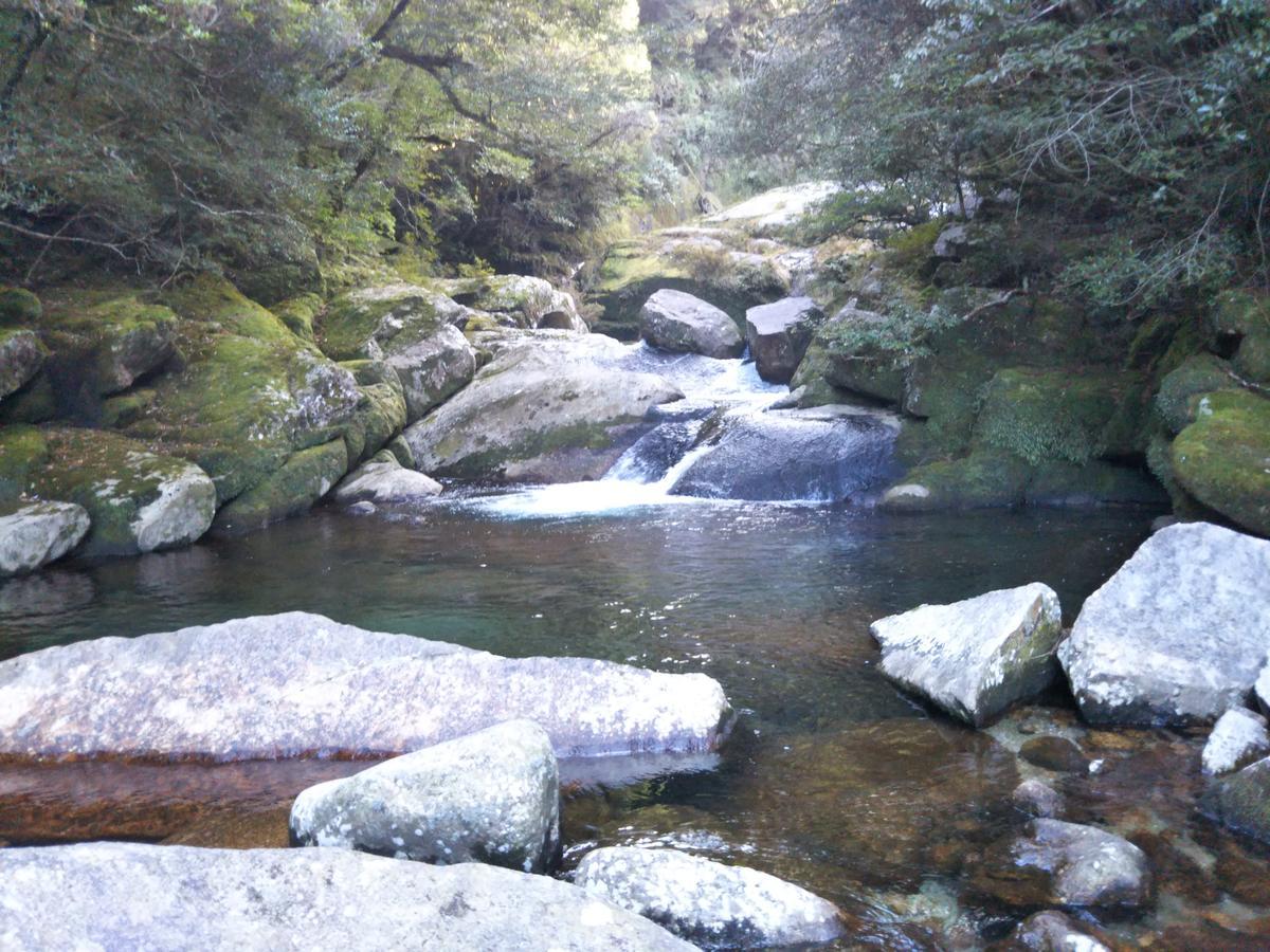 Cottage Yakusugi House Yakushima  Buitenkant foto