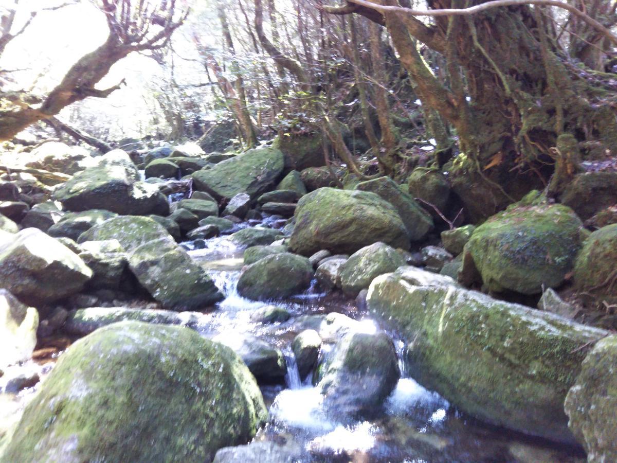 Cottage Yakusugi House Yakushima  Buitenkant foto