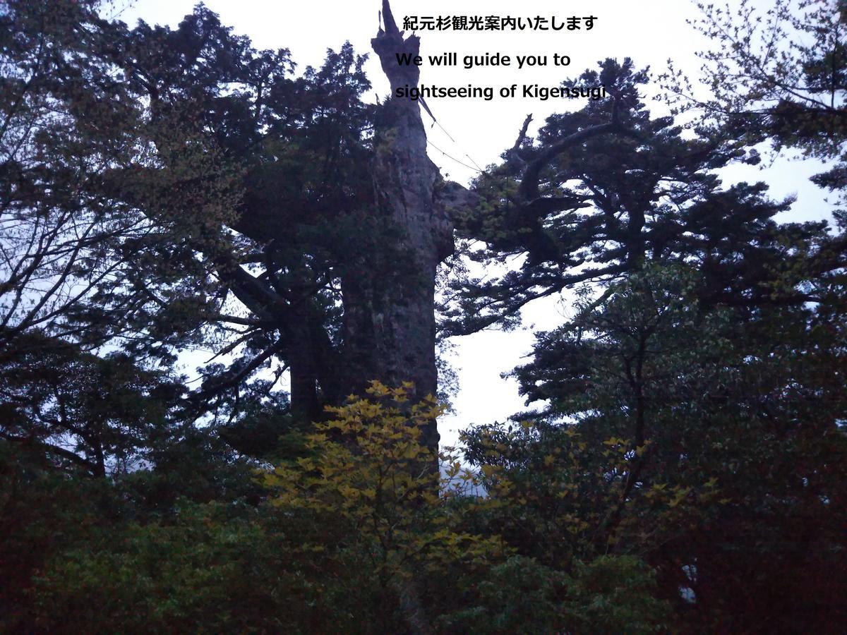 Cottage Yakusugi House Yakushima  Buitenkant foto