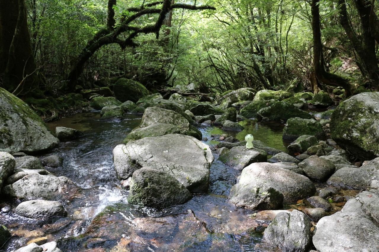 Cottage Yakusugi House Yakushima  Buitenkant foto