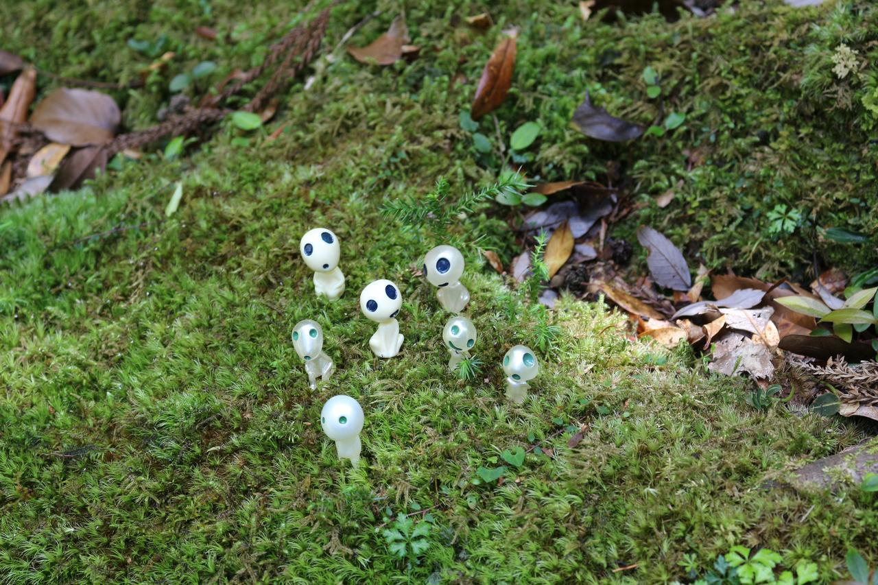 Cottage Yakusugi House Yakushima  Buitenkant foto