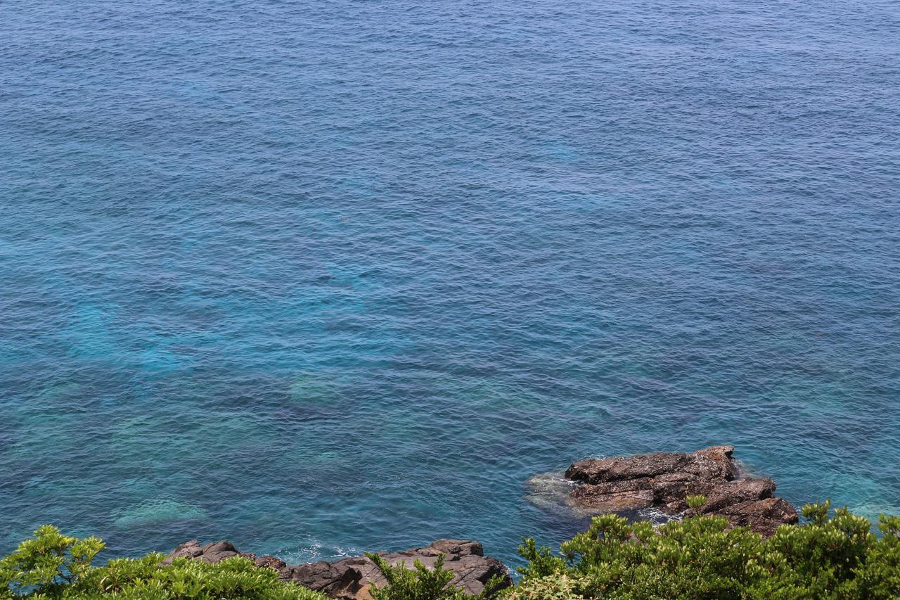 Cottage Yakusugi House Yakushima  Buitenkant foto