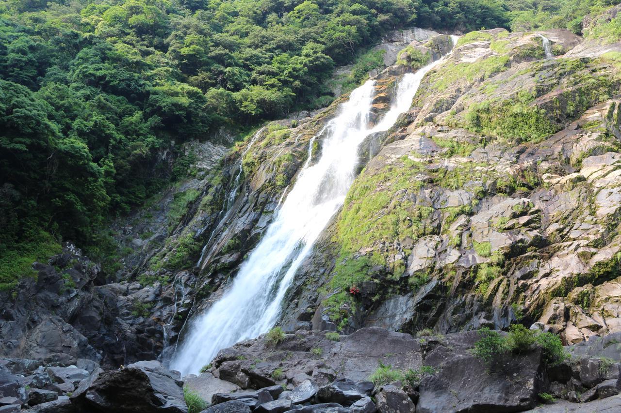 Cottage Yakusugi House Yakushima  Buitenkant foto