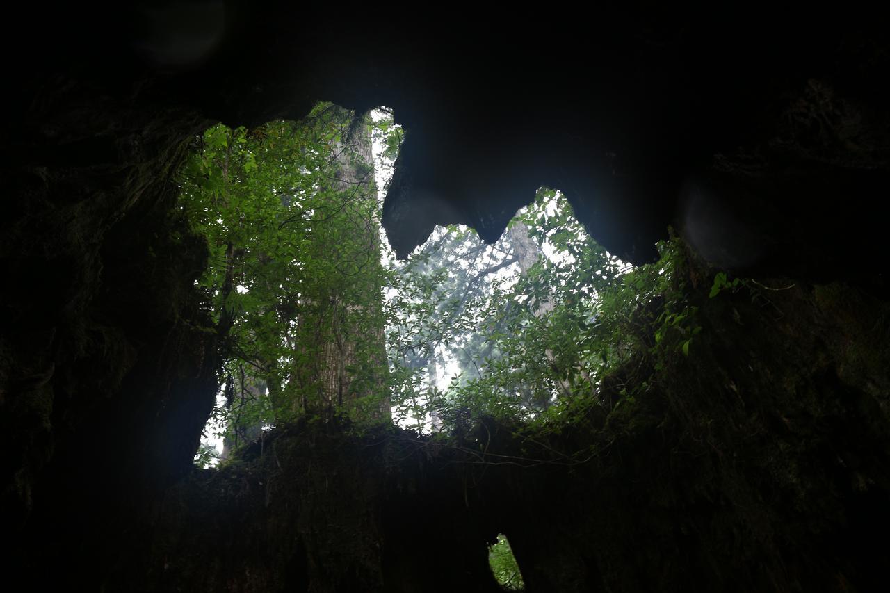 Cottage Yakusugi House Yakushima  Buitenkant foto